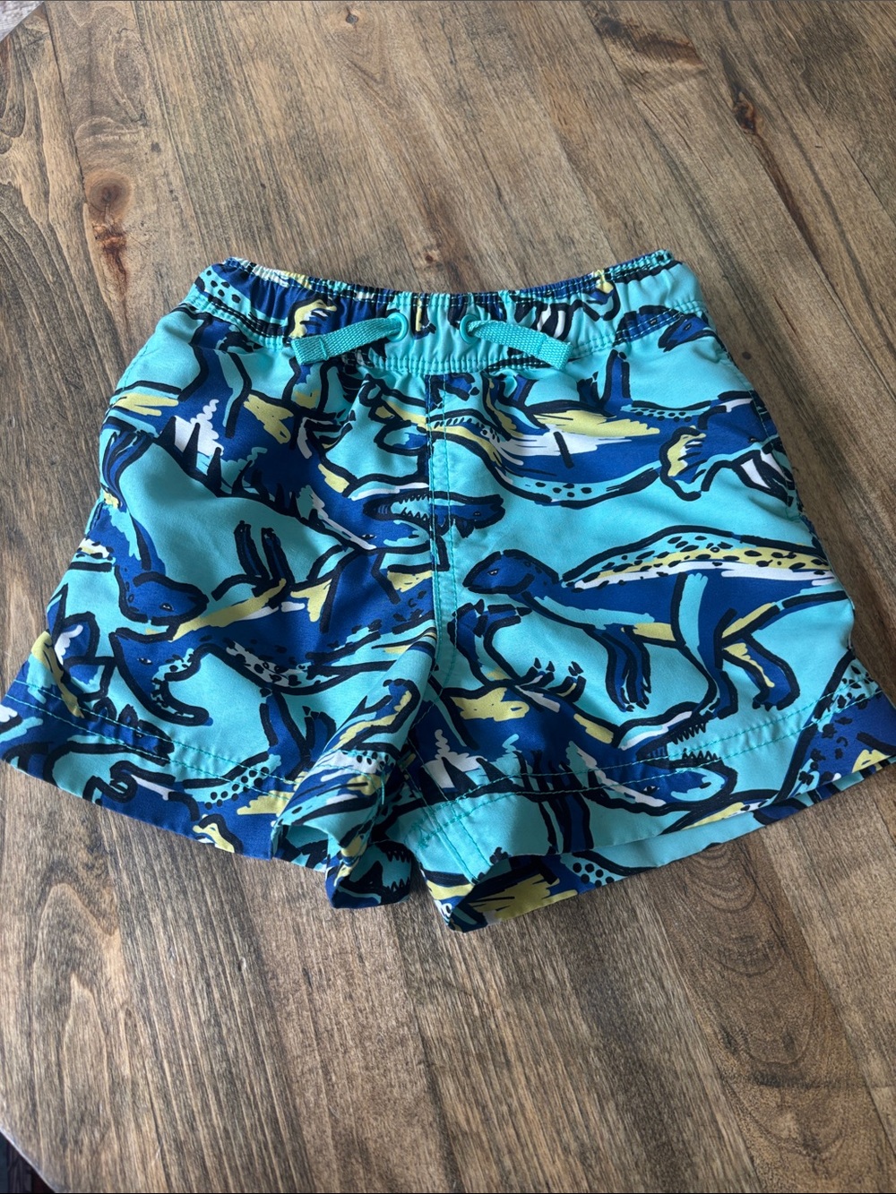 Boys Hanna Andersson Dino Swim Trunks